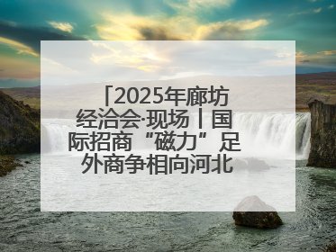 2025年廊坊经洽会·现场丨国际招商“磁力”足 外商争相向河北推介项目